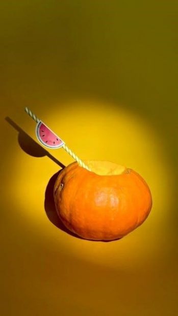 the thanksgiving play pdf