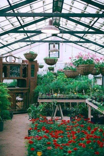 greenhouse instructions