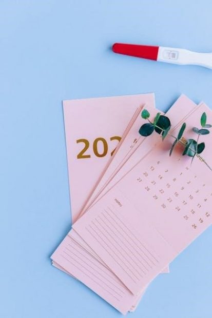 jewish calendar 2023-2024 pdf